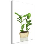 Tableau fleurs plant in pot (1 part) vertical 80 x 120 cm
