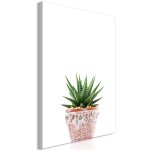 Tableau fleurs succulents in pot (1 part) vertical 80 x 120 cm