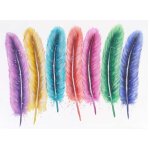 Tableau � l'huile, plumes, peint � la main � 100%, toile de d�coration murale xl 120x90cm