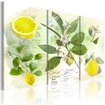 Tableau nature morte fruit: lemon 120 x 80 cm