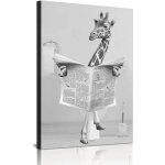 Tableau sur toile girafe dans son bain 60x90 cm, affiche d�corative murale noir et blanc, impression ...