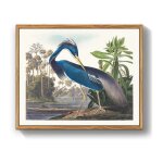 Tableau sur toile - nikcorp - h�ron bleu - 40x60 cm - impression hd - cadre en bois massif