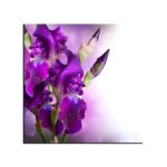 Tableau toile deco fleurs d'iris declina 50x50 violet