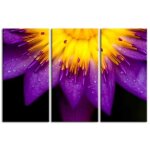 Tableau toile deco fleurs de lotus declina 150x100 violet