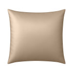 Taie d'oreiller en soie anti frisotti et anti - age taupe 65x65 cm