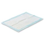 Tapis d'�ducation puppy trainer xl x 30