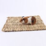 Tapis d'herbe naturelle tiss�e (l39w27), petit lit a m�cher pour hamsters, cochons, lapins et perroquets ...