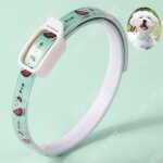 Td� collier anti - insectes chat chien anti - moustiques anti - acariens en plus du collier anti - puces ...