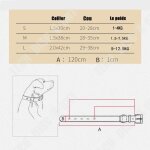 Td collier de chat - chien - accessoire animaux domestiques - gardiennage anti - fugue