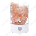 Td� lampe en cristal de sel de l'himalaya de chevet de bureau lecture enfant led moderne sans fil fille ...