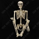 Td� squelette en plastique 165cm blanc squelette humain a suspendre squelette en plastique con�u pour ...