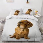 Teckel housse de couette x imprim�� d chien animal parure de lit personnes ado fille enfants microfibre ...