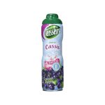 Teisseire sirop cassis 60cl (lot de 2) Teisseire sirop cassis 60cl (lot de 2)