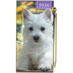 Teppc - agenda semainier fin 2022 avec stylo motif chaton et chiot jaune Teppc - agenda semainier fin 2022 avec stylo motif chaton et chiot jaune