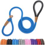 Teppc - laisse chien corde 0. 9cm x 180cm laisse pour chien en nylon avec poignée rembourrée réfléchissant ... Teppc - laisse chien corde 0. 9cm x 180cm laisse pour chien en nylon avec poignée rembourrée réfléchissant ...