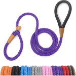 Teppc - laisse chien corde 0. 9cm x 180cm laisse pour chien en nylon avec poignée rembourrée réfléchissant ... Teppc - laisse chien corde 0. 9cm x 180cm laisse pour chien en nylon avec poignée rembourrée réfléchissant ...