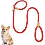 Teppc - laisse chien corde 1. 3cm x 150cm laisse pour chien en nylon avec poignée rembourrée laisse coulissant ... Teppc - laisse chien corde 1. 3cm x 150cm laisse pour chien en nylon avec poignée rembourrée laisse coulissant ...