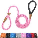 Teppc - laisse chien corde 1. 3cm x 180cm laisse pour chien en nylon avec poignée rembourrée réfléchissant ... Teppc - laisse chien corde 1. 3cm x 180cm laisse pour chien en nylon avec poignée rembourrée réfléchissant ...