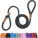 Teppc - laisse chien corde 1. 3cm x 180cm laisse pour chien en nylon avec poignée rembourrée réfléchissant ... Teppc - laisse chien corde 1. 3cm x 180cm laisse pour chien en nylon avec poignée rembourrée réfléchissant ...