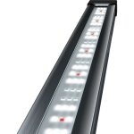 Tetra tetronic led proline 580