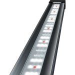 Tetra tetronic led proline 780