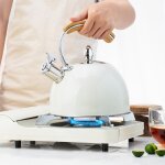 Thire en acier inoxydable avec sifflet puissant, bouilloire a th 3l, poigne antirouille et anti - ...