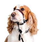 The company of animals halti optifit collier anti - traction pour chiens m