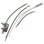 Thermostat - centrale vapeur (500584375 astoria)