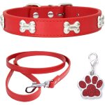 Tianyi - colliers pour chiens collier en cuir laisse de chien combo set collier chien collier chiot réglable ... Tianyi - colliers pour chiens collier en cuir laisse de chien combo set collier chien collier chiot réglable ...