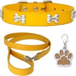 Tianyi - colliers pour chiens collier en cuir laisse de chien combo set collier chien collier chiot réglable ... Tianyi - colliers pour chiens collier en cuir laisse de chien combo set collier chien collier chiot réglable ...
