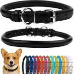 Tianyi - collier de chien en cuir roul, collier de chiot rond rembourr doux, collier en cuir vritable ...