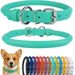 Tianyi - collier de chien en cuir roul, collier de chiot rond rembourr doux, collier en cuir vritable ...