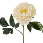 Tige pivoine artificielle 80cm creme
