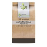 Tisane aur�ne m�le plante 100 grs artemisia abrotanum.