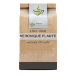 Tisane vronique plante ct 1kg veronica officinalis