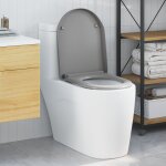 Toilette avec abattant à déclenchement rapide et fermeture douce duroplast gris Toilette avec abattant à déclenchement rapide et fermeture douce duroplast gris
