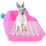 Toilettes animaux compagnie - maison litire angle - lapin chat