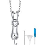 Trahoo - collier urne pour cendres animaux pet homme femme, pendentif chat / empreinte d'animal urne ...