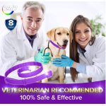 Traitement antipuces pour chiens, collier antiparasitaire pour chien, collier antipuces rglable pour ...