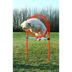 Trixie dog activity anneau agility pour chien Trixie dog activity anneau agility pour chien