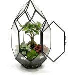 Ulteronixshop - pluxea - kit de terrarium complet diy pour plantes avec substrat et 10 outils inclus ...