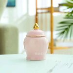 Urne en cramique pour animaux de compagnie, petit modle, bote a cendres de chat, mini cercueil d'animaux, ...