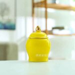 Urne en cramique pour animaux de compagnie, petit modle, bote a cendres de chat, mini cercueil d'animaux, ...