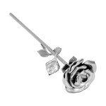 Urne souvenir en acier inoxydable pour animaux de compagnie, rose, chats, chiens, petits animaux, cendres, ...