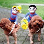Vêtements pour animaux de compagnie style chevalier, costume de cow - boy pour chiens et chats, avec ... Vêtements pour animaux de compagnie style chevalier, costume de cow - boy pour chiens et chats, avec ...