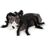 Vtements d'araigne d'halloween pour animaux de compagnie, dguisement pour chien, chat, accessoires ...