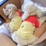 Vtements d'hiver doux pour chien, pull - over, chemise, bouledogue franais, chihuahua, ropa perro