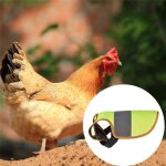 V�tements de poulet gilet r�fl�chissant pour animaux de compagnie volaille poule selle tablier plume ...