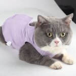 Vtements de rcupration chirurgicale pour chat, vtements pour animaux domestiques, strilisation anti ...
