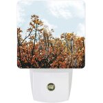 Veilleuse led a motif floral et arbres, appareil photo num�rique d'automne moderne, avec capteurs du ...
